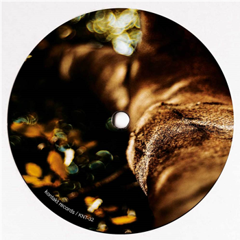 Mike Schommer - Leaving The Ground (Rod Modell RMX / Clear Gold Vinyl) - Kontakt Records