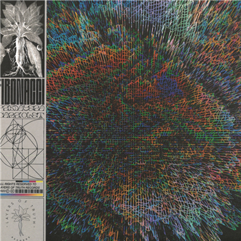 Fibonacci - Panorama 1986 - Layers Of Truth Records