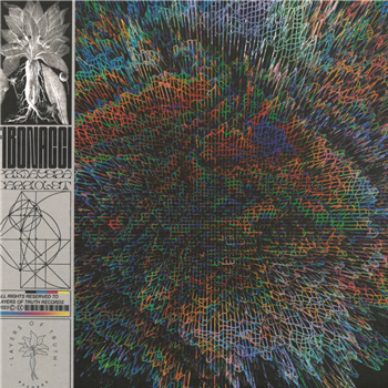 Fibonacci - Panorama 1986 - Layers Of Truth Records Fibonacci - Panorama 1986 - Layers Of Truth Records
