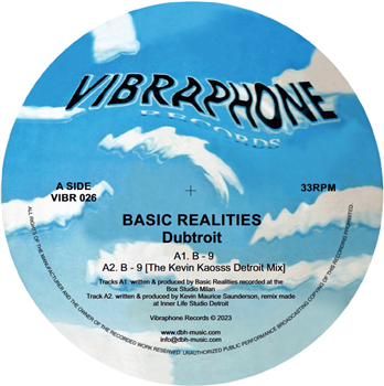Basic Realities - Dubtroit (incl. Kevin Saunderson RMX) - Vibraphone Records