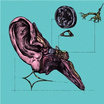 Tagir & Alexey Orlov - Freaks EP - Anva Tagir & Alexey Orlov - Freaks EP - Anva