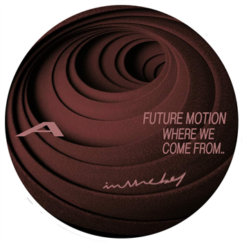 Future Motion - Where We Come From - InTheBagg