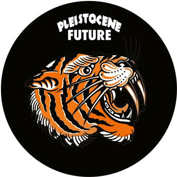 DJ Savage - Pleistocene Future 6 - Pleistocene Future