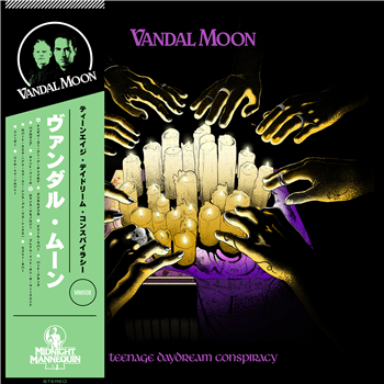 Vandal Moon - Teenage Daydream Conspiracy LP - Mannequin Records