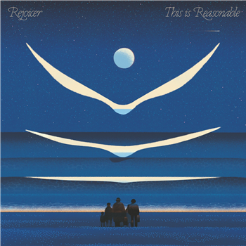 Rejoicer - This Is Reasonable (LP) - Circus Company