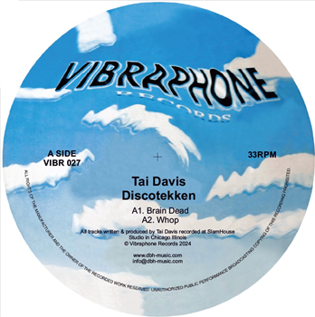 TAI DAVIS - Discotekken - Vibraphone Records