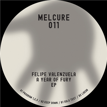 Felipe Valenzuela - A Year Of Fury EP - Melcure