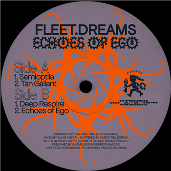 fleet.dreams - Echoes of Ego  - Vinezza
