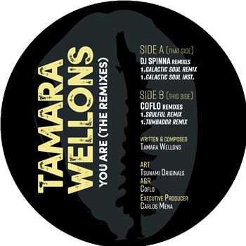 Tamara Wellons - YOU ARE (THE REMIXES)  - OCHA RECORDS