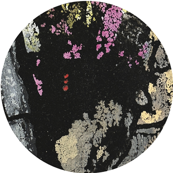 Cosmic JD - Laelaps EP - Hypnotic Mindscapes Cosmic JD - Laelaps EP - Hypnotic Mindscapes