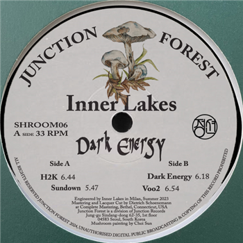 Inner Lakes - Dark Energy - Junction Forest