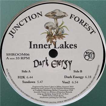 Inner Lakes - Dark Energy - Junction Forest Inner Lakes - Dark Energy - Junction Forest