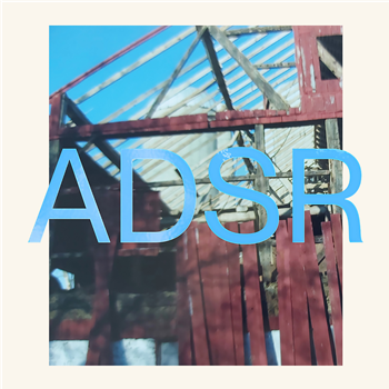ADSR - POISED OVER PAUSE BUTTONS - 2x12" - AURAL MEDIUM