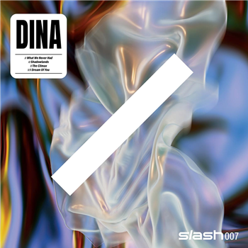 DINA - What We Never Had - slash