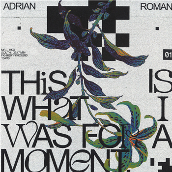 Adrian Roman - This Is What I Was For A Moment - microCastle