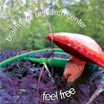 BRAINWAVE RESEARCH CENTER - FEEL FREE LP - Brainwave Research Center BRAINWAVE RESEARCH CENTER - FEEL FREE LP - Brainwave Research Center