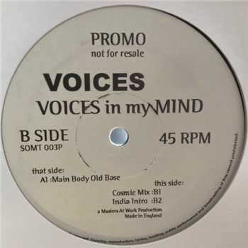 Voices - Voices In My Mind - Sound of Ministry