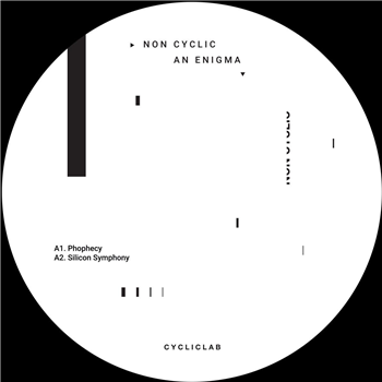 Non Cyclic - An Enigma - 2x12" - Cyclic Lab Non Cyclic - An Enigma - 2x12" - Cyclic Lab