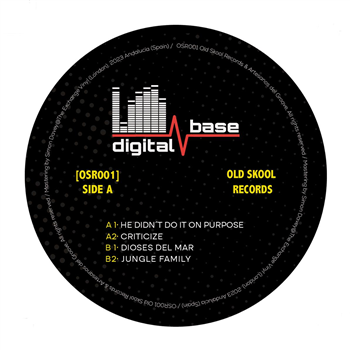 Digital Base & Andy Vibes - He Didnt Do It On Purpose - Old Skool Records