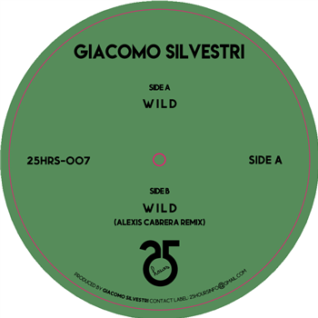 GIACOMO SILVESTRI - 25hours Records