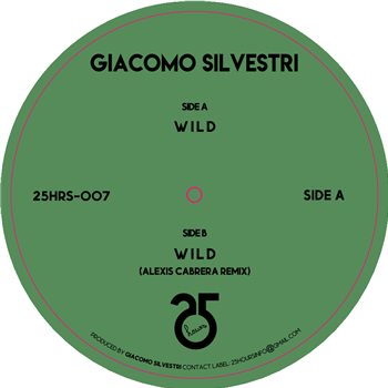 GIACOMO SILVESTRI - 25hours Records GIACOMO SILVESTRI - 25hours Records