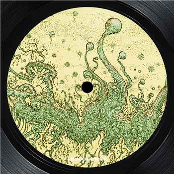 Hedge Maze - Riding The Wave EP - Selvamancer Hedge Maze - Riding The Wave EP - Selvamancer