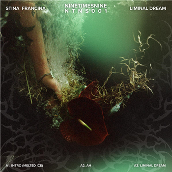 Stina Francina - Liminal Dream - NineTimesNine Stina Francina - Liminal Dream - NineTimesNine