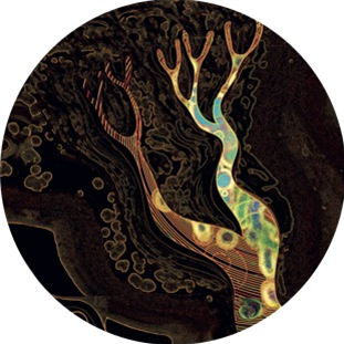 Steevio - Dod yn ôl at fy nghoed vol.2 - Mindtours Steevio - Dod yn ôl at fy nghoed vol.2 - Mindtours