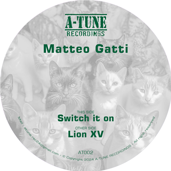 MATTEO GATTI - SWITCH IT - A-TUNE RECORDINGS MATTEO GATTI - SWITCH IT - A-TUNE RECORDINGS