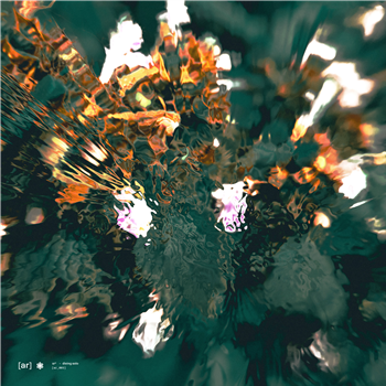sr² - Diving Solo - 2x12" - Augmented Research sr² - Diving Solo - 2x12" - Augmented Research