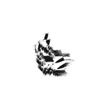 Zero Key - False 01 - False Aralia Zero Key - False 01 - False Aralia