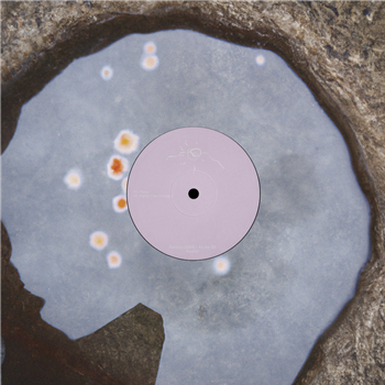 Asmus Odsat - As We Sit - Kora Sounds Asmus Odsat - As We Sit - Kora Sounds