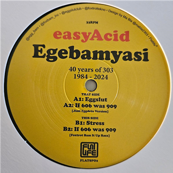 EgeBamYasi - Easy Acid – 40 Years of 303 (1984-2024) (Black 180gr Repress) - Flatlife Records EgeBamYasi - Easy Acid – 40 Years of 303 (1984-2024) (Black 180gr Repress) - Flatlife Records