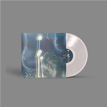 Kaiser - Controcorrente - clear vinyl - K S R Kaiser - Controcorrente - clear vinyl - K S R