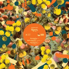 SAMPOLOGY - RIPEN VOL.1 - MIDDLE NAME RECORDS SAMPOLOGY - RIPEN VOL.1 - MIDDLE NAME RECORDS
