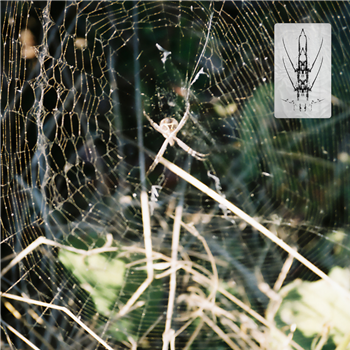 Florian Kupfer - Unmasked EP - Urban Legend Record Label Florian Kupfer - Unmasked EP - Urban Legend Record Label