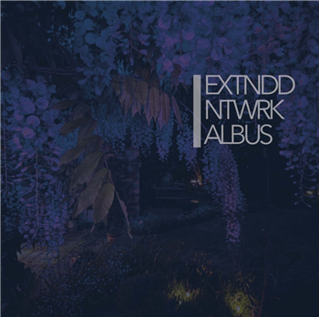 EXTNDDNTWRK - Albus - Blue Vinyl - Fourth Dimension EXTNDDNTWRK - Albus - Blue Vinyl - Fourth Dimension