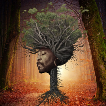 Osunlade - Inner Garden - Yoruba Records Osunlade - Inner Garden - Yoruba Records
