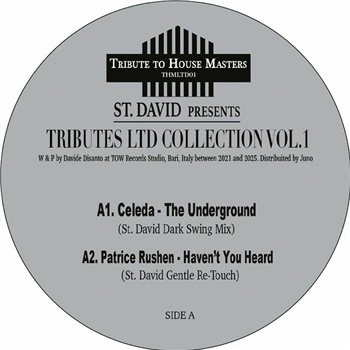 St David - Tributes LTD Collection Vol 1 - Tribute To House Masters