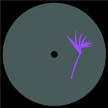 Zenk & Ted Amber  Memesis EP [vinyl only] - Purple Print