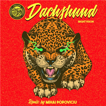 Dachshund - Night Vision (Mihai Popoviciu Remix) - Tenampa Recordings