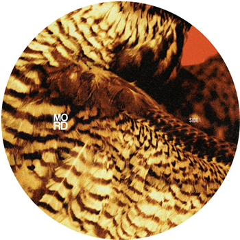 Amorphic & Tensal - Highland Frequencies EP - Mord Amorphic & Tensal - Highland Frequencies EP - Mord
