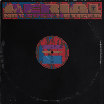 not even noticed - Aerial - Tartelet Records