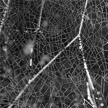 RS Tangent - Crinkle - The Trilogy Tapes