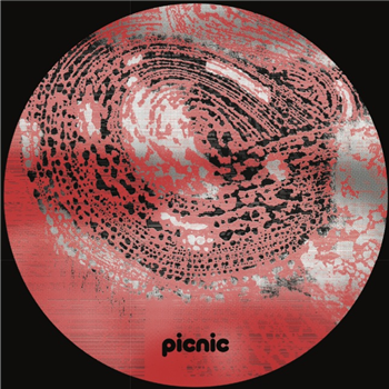 Shkedul - PICNIC010 - Picnic Records Shkedul - PICNIC010 - Picnic Records