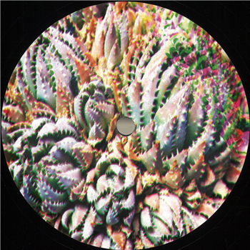 Nømad Soul - Transpace EP - HAWORTHIA Records