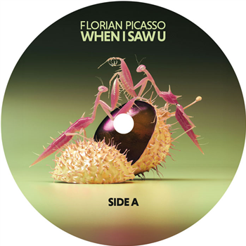 Florian Picasso, When I Saw U - Hot Meal Records