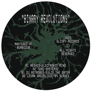 Binary Revolutions - VA - Glispy Records