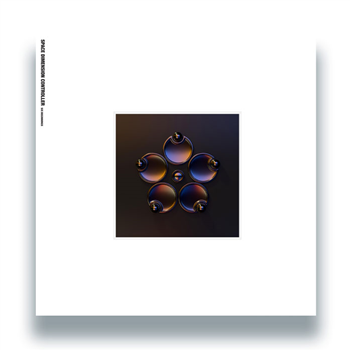 Space Dimension Controller - Six Beginnings - Test Pressing Recordings Space Dimension Controller - Six Beginnings - Test Pressing Recordings