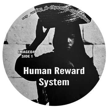 Other - Human Reward System - Image Recordings